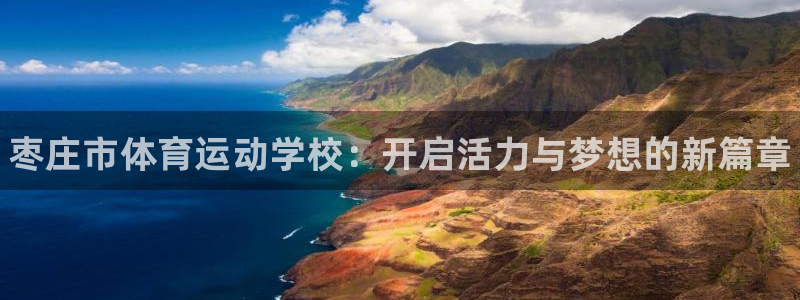 尊龙官网下载平台假的吗是真的吗:枣庄市体育运动学校:开启活力