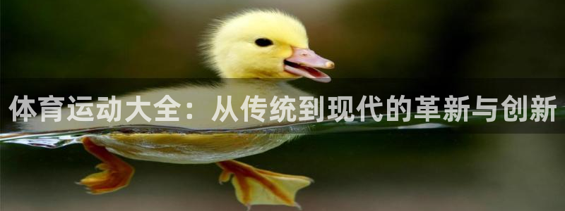 尊龙官方正版app娱乐平台:体育运动大全:从传统到现代的革新