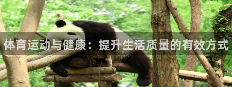 尊龙官方正版app集团:体育运动与健康:提升生活质量的有效方