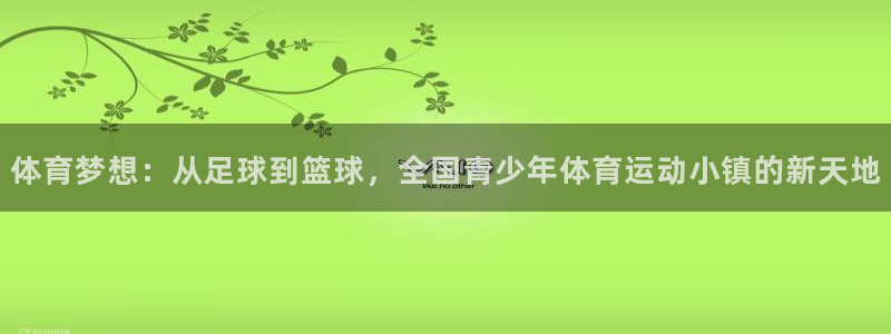 尊龙官网下载软件:体育梦想:从足球到篮球,全国青少年体育运动