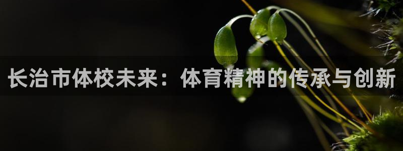 尊龙官网下载平台是正规平台吗:长治市体校未来:体育精神的传承