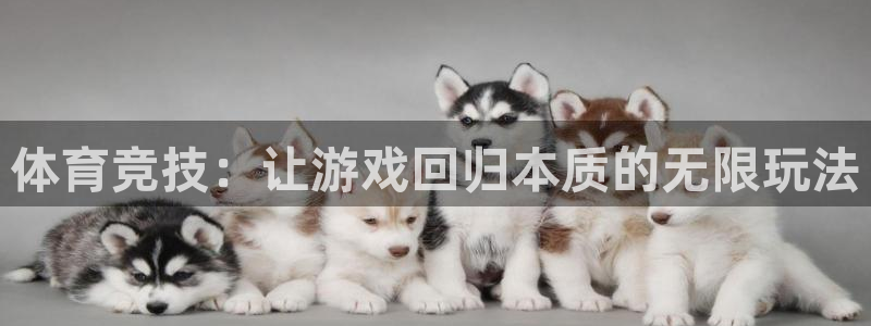 尊龙官方正版app新能源:体育竞技:让游戏回归本质的无限玩法